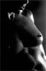www.artphoto-frauenbilder.de